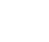 Web Developer